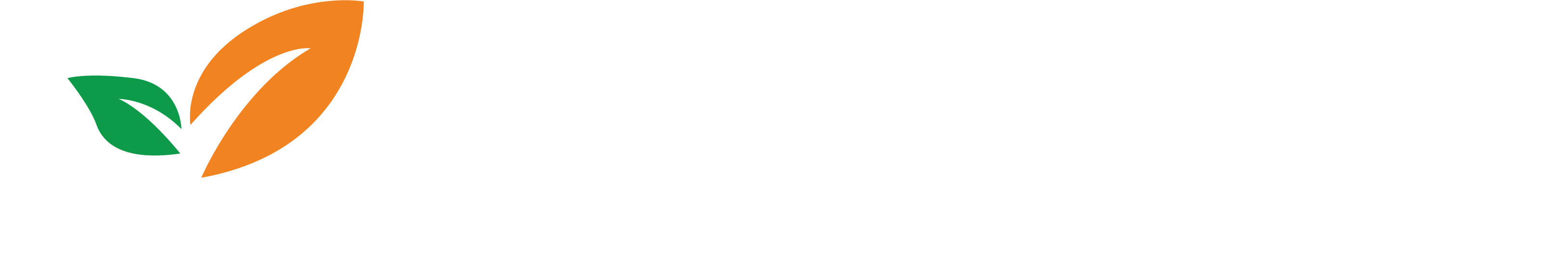 테스트
